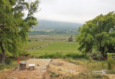 Ruta Choapa Alto